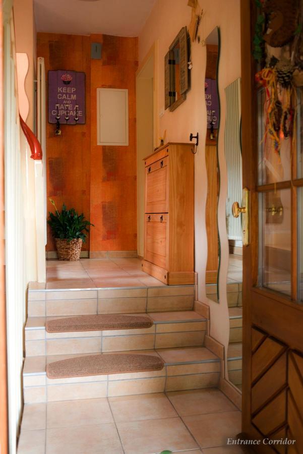 Entire House In Schwarzwald With Mountain View, Private Sauna, Gym, Garden And Terraces Unterkirnach エクステリア 写真
