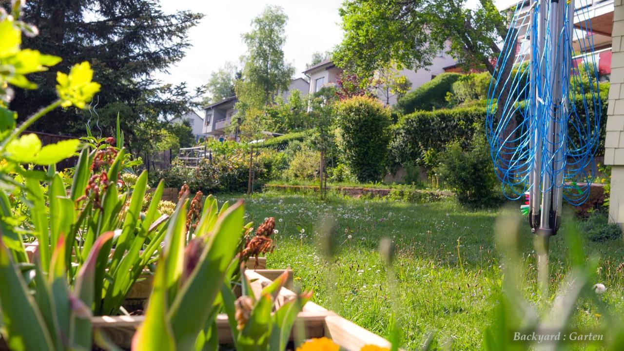 Entire House In Schwarzwald With Mountain View, Private Sauna, Gym, Garden And Terraces Unterkirnach エクステリア 写真