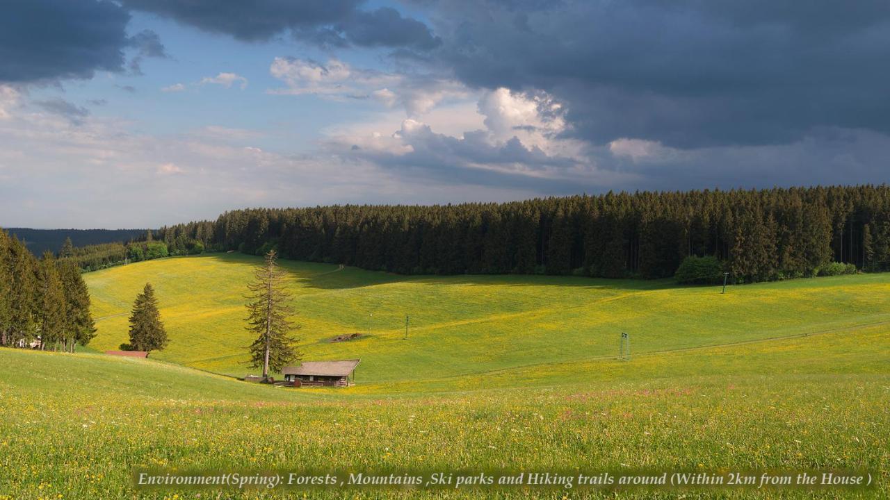 Entire House In Schwarzwald With Mountain View, Private Sauna, Gym, Garden And Terraces Unterkirnach エクステリア 写真