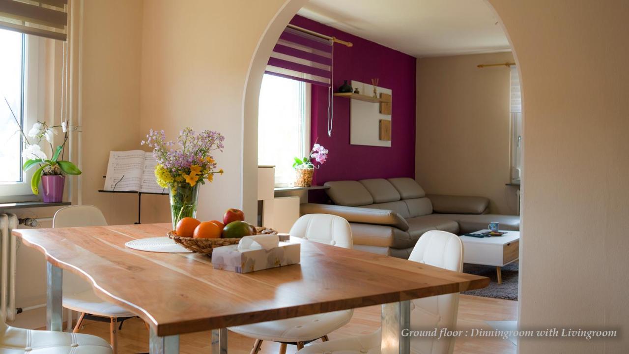 Entire House In Schwarzwald With Mountain View, Private Sauna, Gym, Garden And Terraces Unterkirnach エクステリア 写真