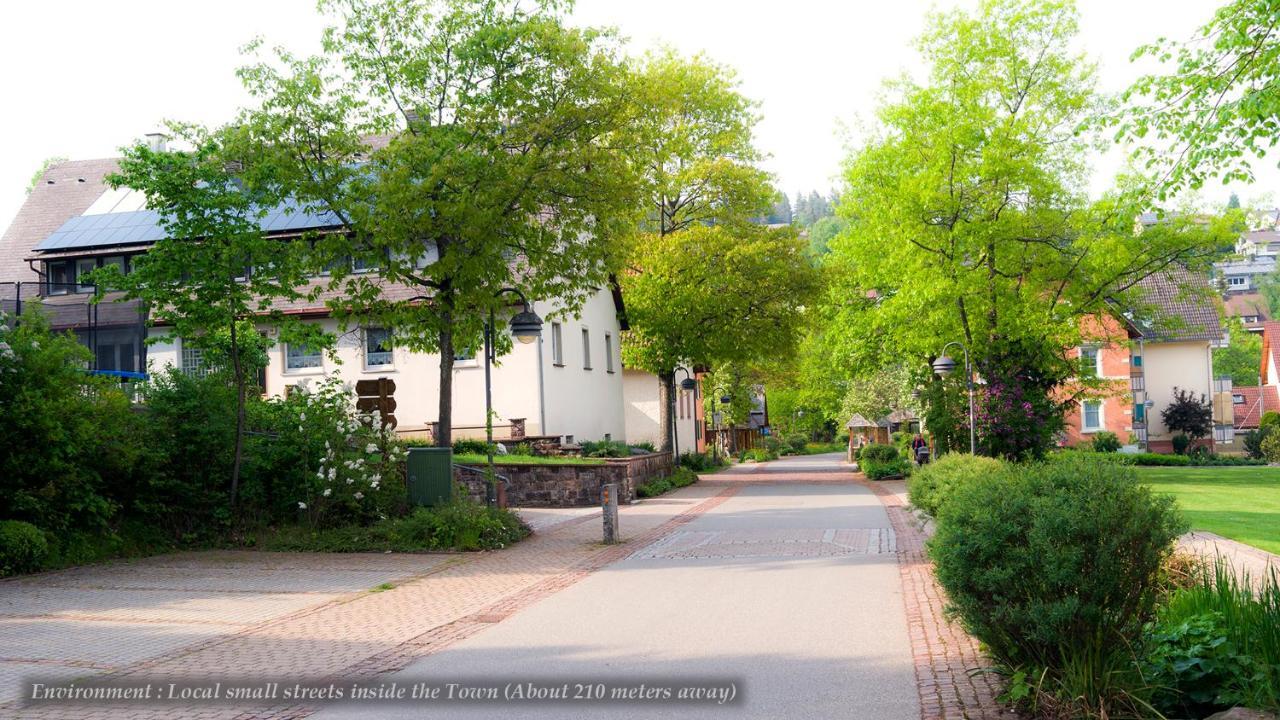 Entire House In Schwarzwald With Mountain View, Private Sauna, Gym, Garden And Terraces Unterkirnach エクステリア 写真