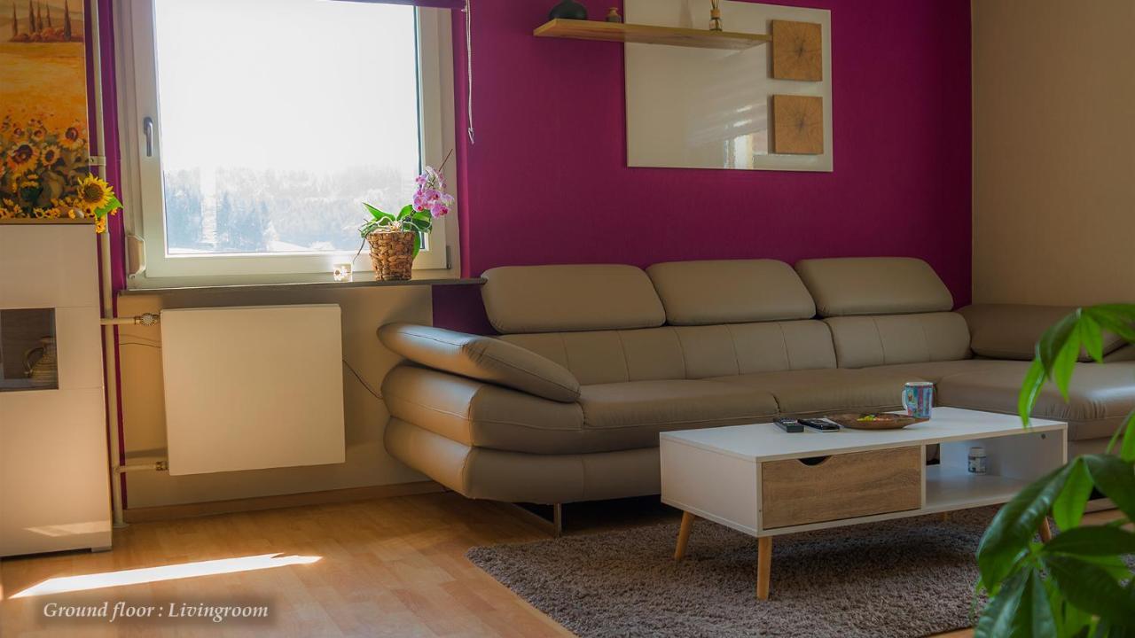Entire House In Schwarzwald With Mountain View, Private Sauna, Gym, Garden And Terraces Unterkirnach エクステリア 写真