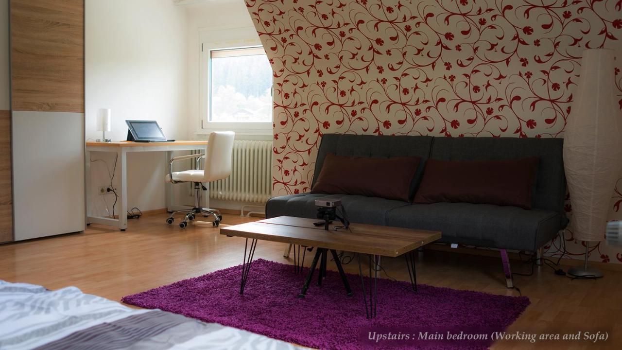 Entire House In Schwarzwald With Mountain View, Private Sauna, Gym, Garden And Terraces Unterkirnach エクステリア 写真