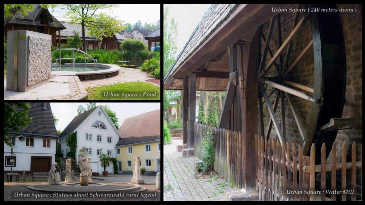 Entire House In Schwarzwald With Mountain View, Private Sauna, Gym, Garden And Terraces Unterkirnach エクステリア 写真