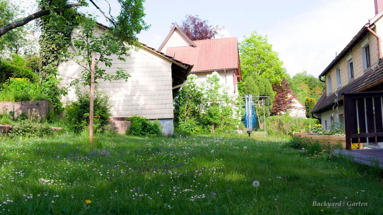 Entire House In Schwarzwald With Mountain View, Private Sauna, Gym, Garden And Terraces Unterkirnach エクステリア 写真