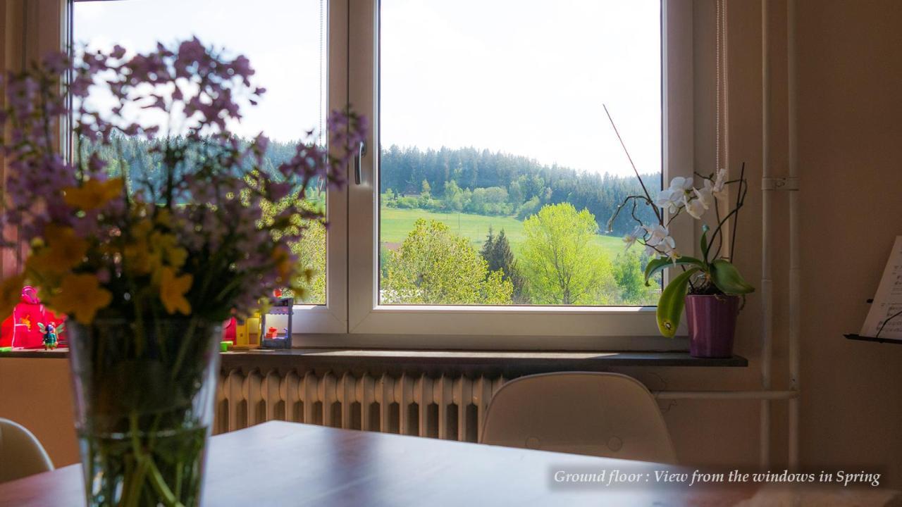 Entire House In Schwarzwald With Mountain View, Private Sauna, Gym, Garden And Terraces Unterkirnach エクステリア 写真